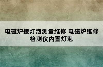 电磁炉接灯泡测量维修 电磁炉维修检测仪内置灯泡